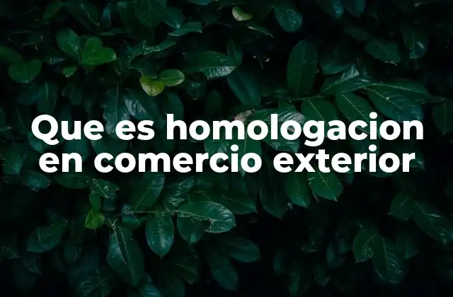 Que es Homologacion en Comercio Exterior