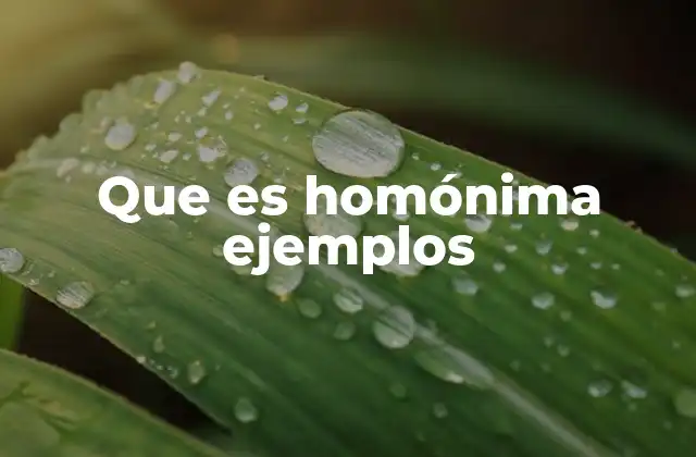 Que es Homónima Ejemplos
