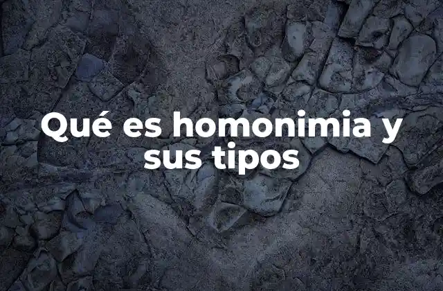 Qué es Homonimia y Sus Tipos