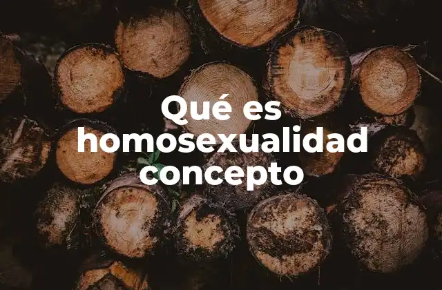 Qué es Homosexualidad Concepto 2 La homosexualidad y la identidad humana