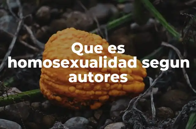 Que es Homosexualidad Segun Autores
