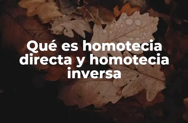 Qué es Homotecia Directa y Homotecia Inversa