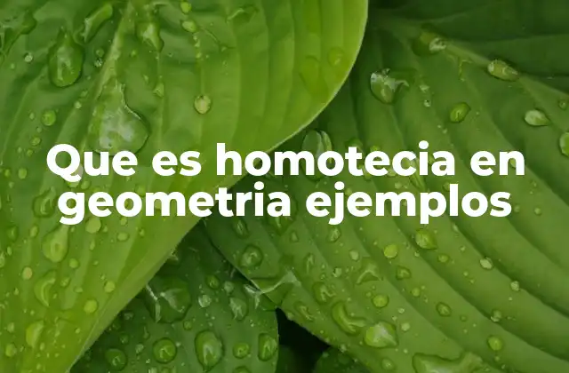Que es Homotecia en Geometria Ejemplos