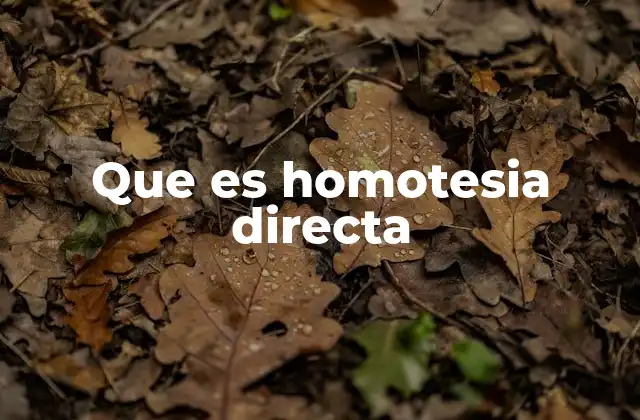Que es Homotesia Directa