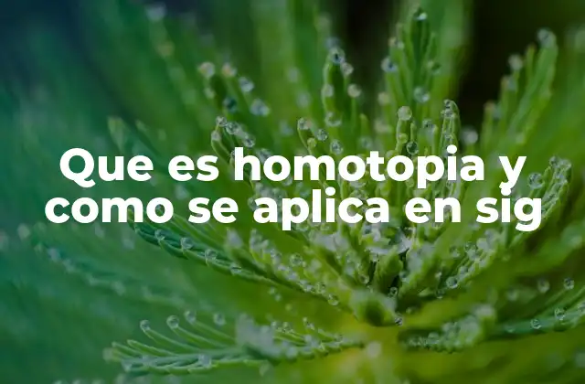 Que es Homotopia y como Se Aplica en Sig