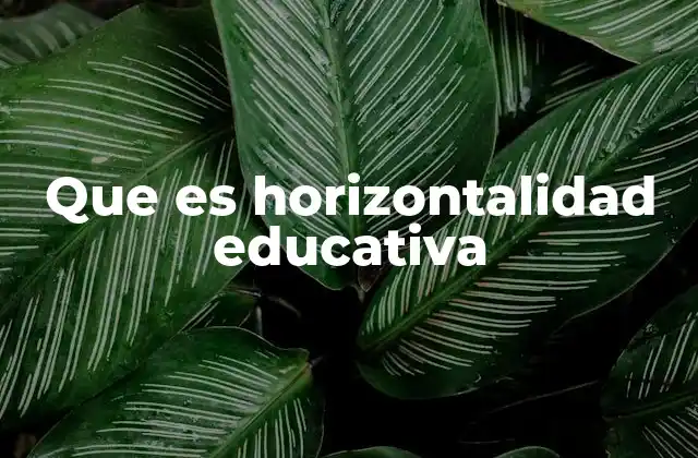 Que es Horizontalidad Educativa