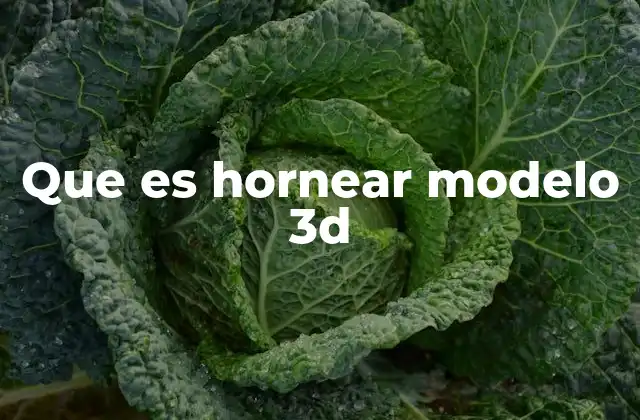 Que es Hornear Modelo 3d