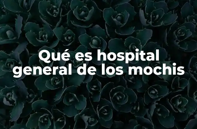 Qué es Hospital General de los Mochis