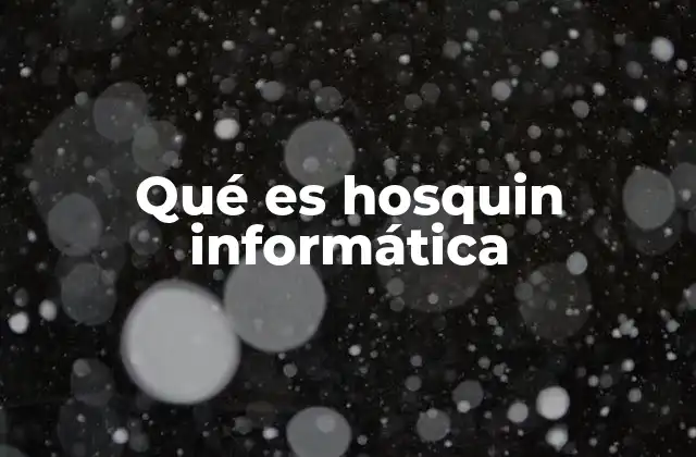 Qué es Hosquin Informática