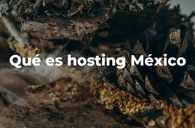 Qué es Hosting México