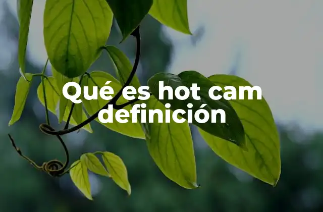 Hot cam como fenómeno digital
