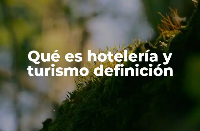 Qué es Hotelería y Turismo Definición