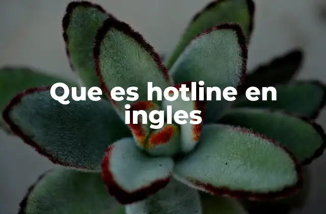 Que es Hotline en Ingles