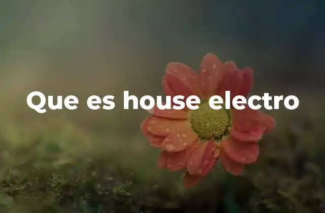 Que es House Electro