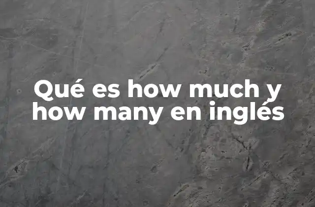 Qué es How Much y How Many en Inglés