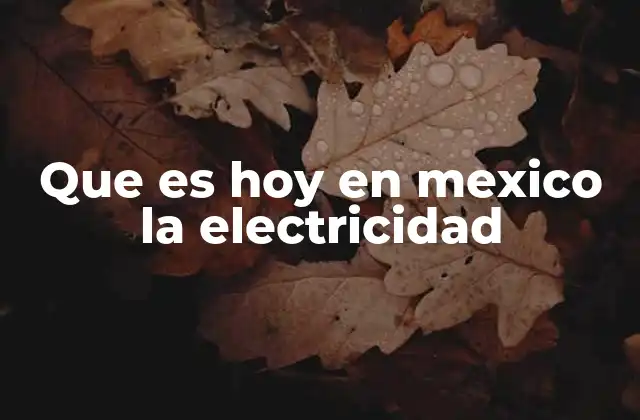 Que es Hoy en Mexico la Electricidad
