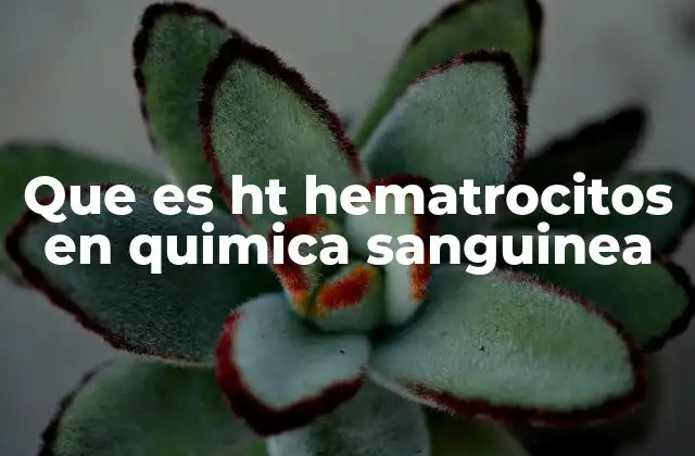 Que es Ht Hematrocitos en Quimica Sanguinea