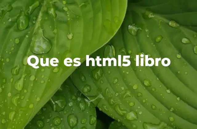 Que es Html5 Libro