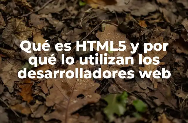 Qué es Html5 y por Qué Lo Utilizan los Desarrolladores Web