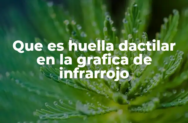 Que es Huella Dactilar en la Grafica de Infrarrojo