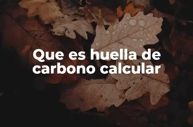 Que es Huella de Carbono Calcular