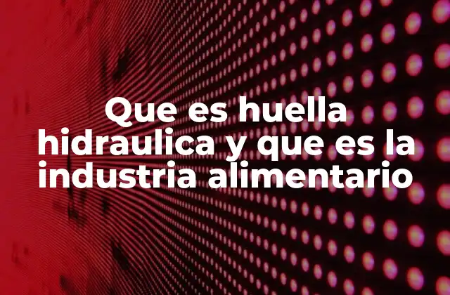 Que es Huella Hidraulica y que es la Industria Alimentario