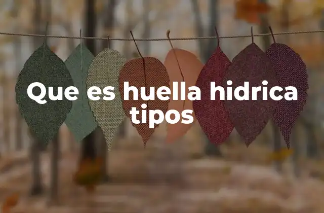 Que es Huella Hidrica Tipos 2 Entendiendo el impacto del agua en la producción