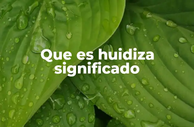 Que es Huidiza Significado