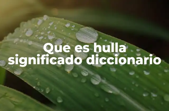 Que es Hulla Significado Diccionario 2 La hulla y su importancia en la geología
