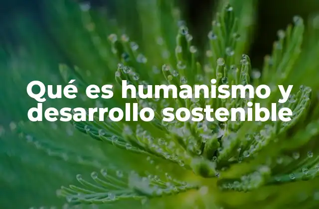 La importancia de la ética en la toma de decisiones globales