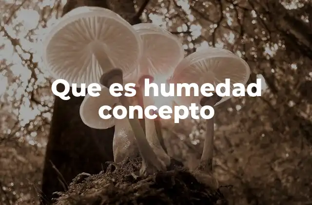 Que es Humedad Concepto 2 La importancia de la humedad en la vida cotidiana