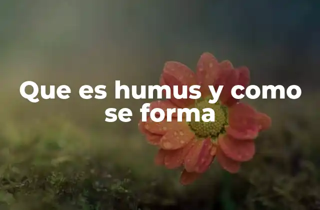 El papel del humus en la salud del suelo