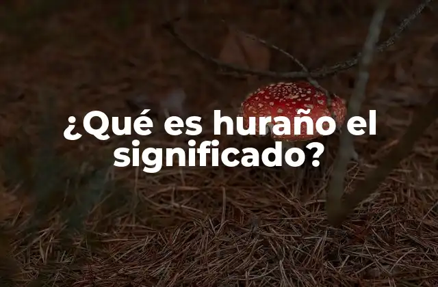 ¿qué es Huraño el Significado? 2 El comportamiento hosco y su impacto en las relaciones sociales