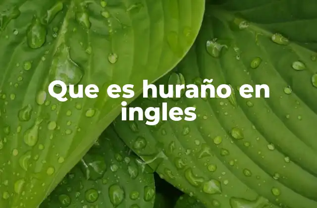 Que es Huraño en Ingles