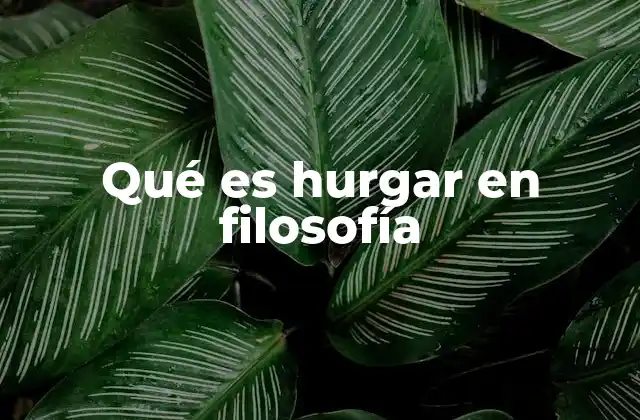 Qué es Hurgar en Filosofía 2 El hurgar como herramienta para el pensamiento crítico