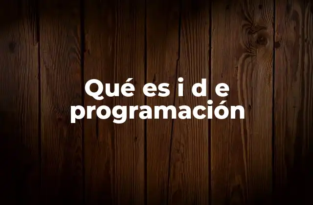 Qué es I D e Programación