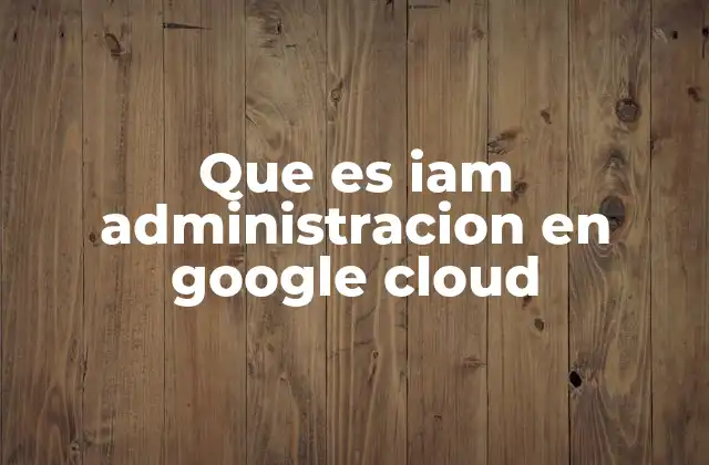 Que es Iam Administracion en Google Cloud