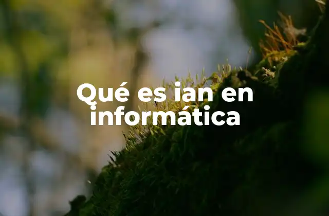 Qué es Ian en Informática 2 IAN como red de agentes inteligentes