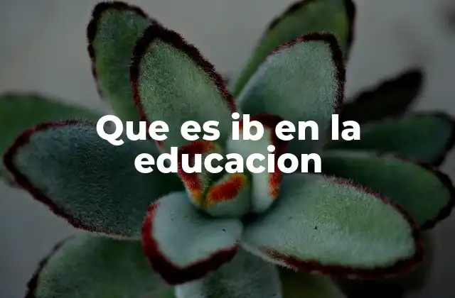 Que es Ib en la Educacion 2 El impacto del IB en la formación estudiantil