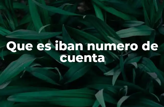Que es Iban Numero de Cuenta