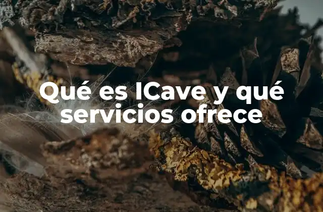 Qué es Icave y Qué Servicios Ofrece