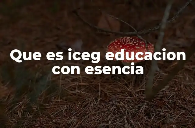 Que es Iceg Educacion con Esencia 2 La filosofía detrás del enfoque educativo