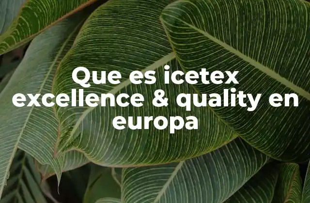 Que es Icetex Excellence & Quality en Europa