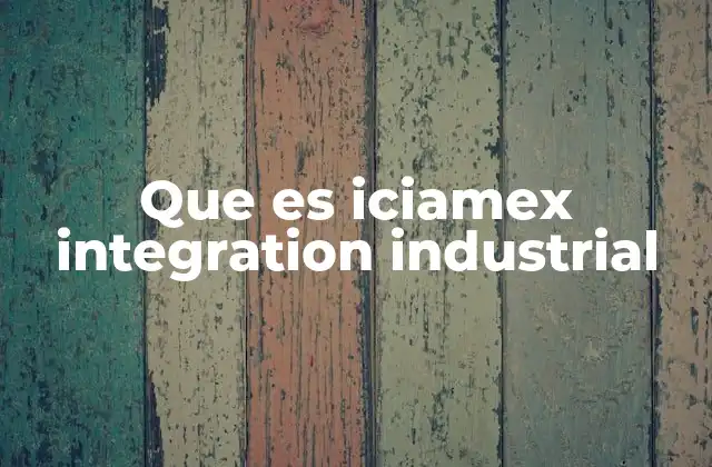 Que es Iciamex Integration Industrial