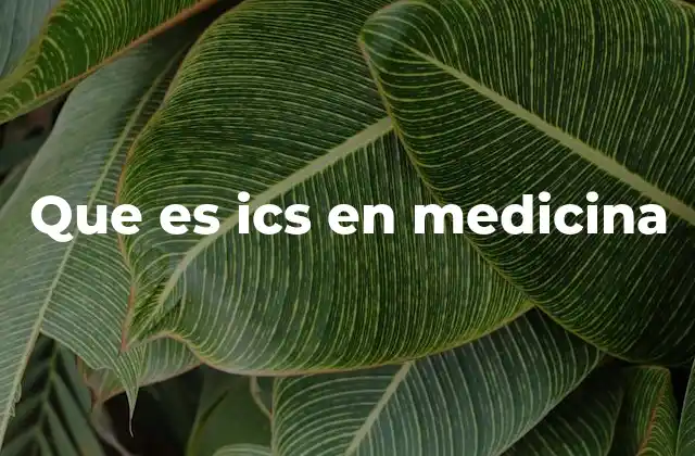 Que es Ics en Medicina