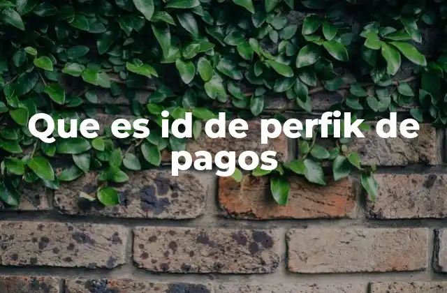 Que es Id de Perfik de Pagos 2 La importancia del ID en sistemas de pago digital