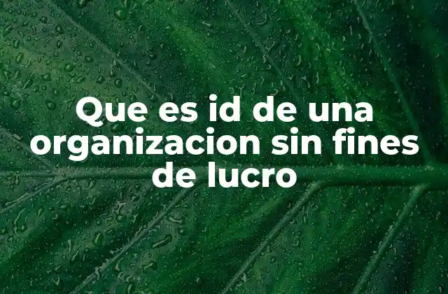 Que es Id de una Organizacion sin Fines de Lucro