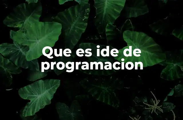 Que es Ide de Programacion