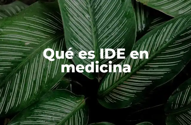 Qué es Ide en Medicina
