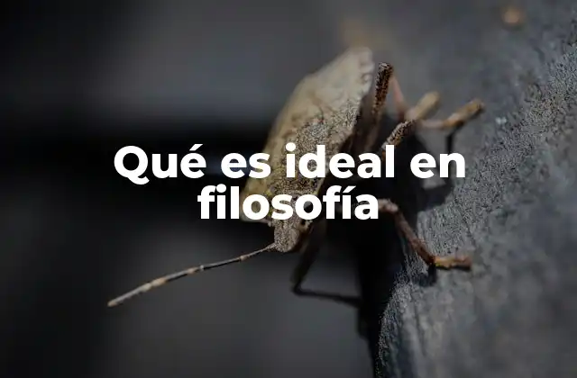Qué es Ideal en Filosofía